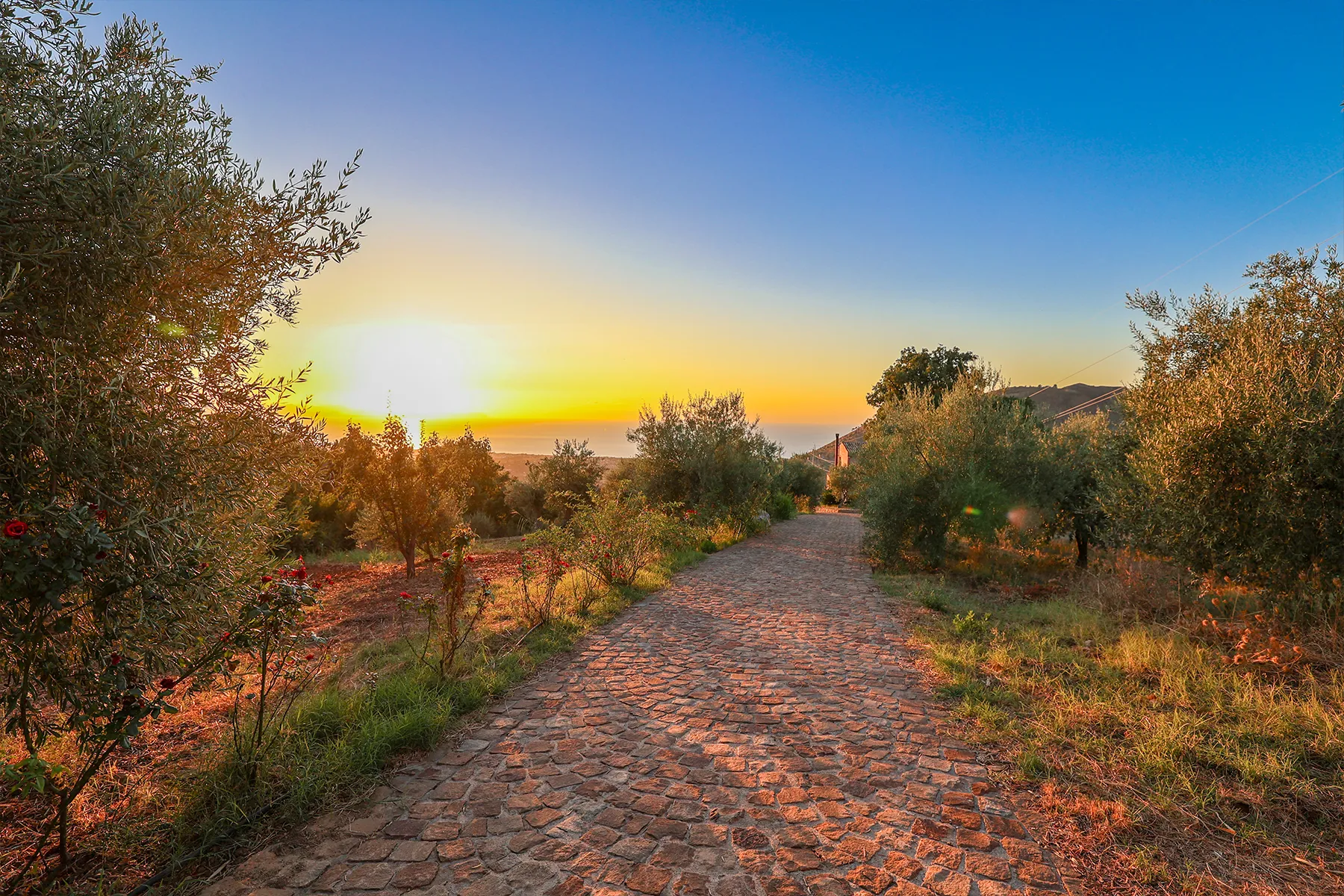 Agriturismo Case Rapputi, Agriturismo vicino Palermo e Cefalù