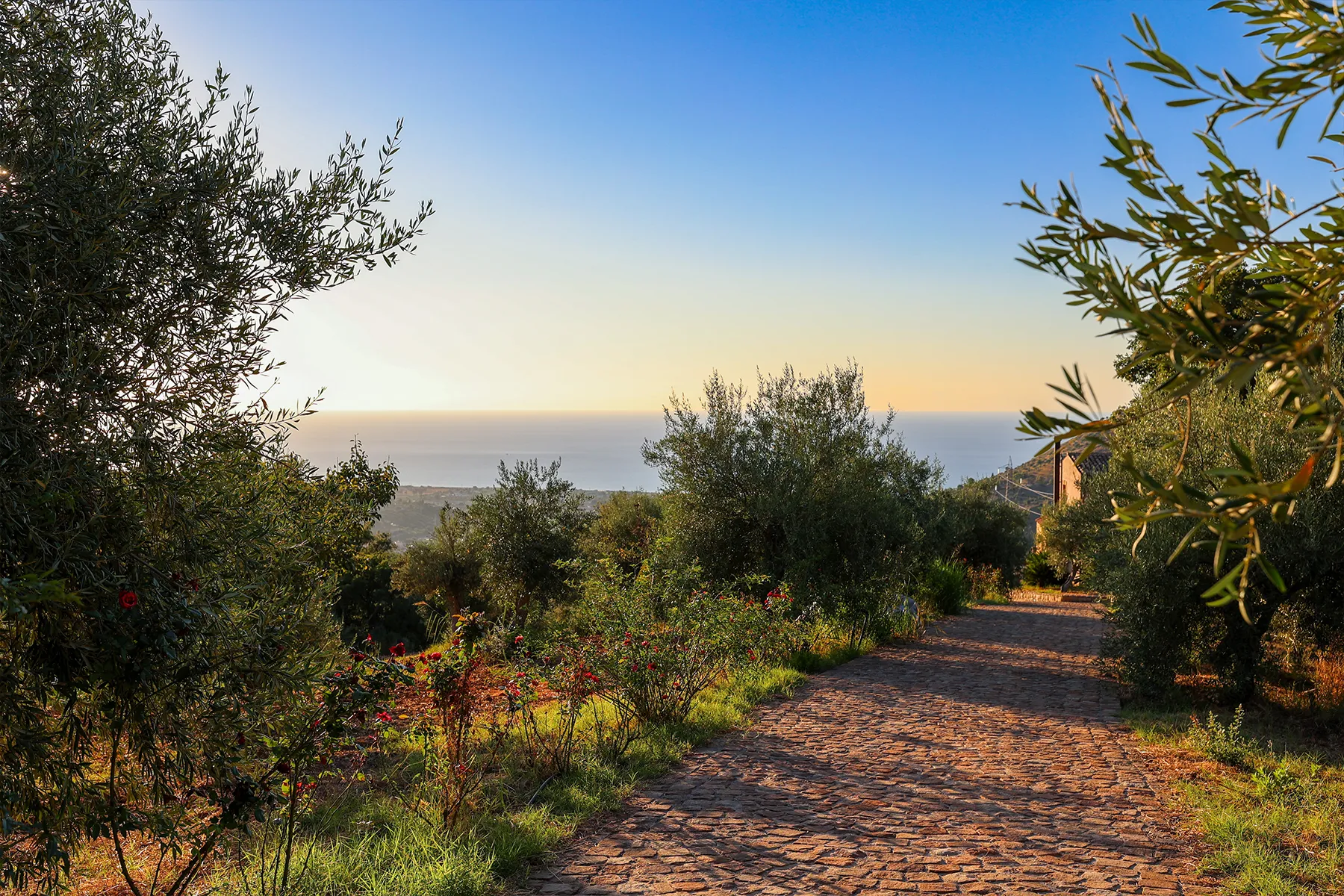 Agriturismo Case Rapputi, Agriturismo vicino Palermo e Cefalù