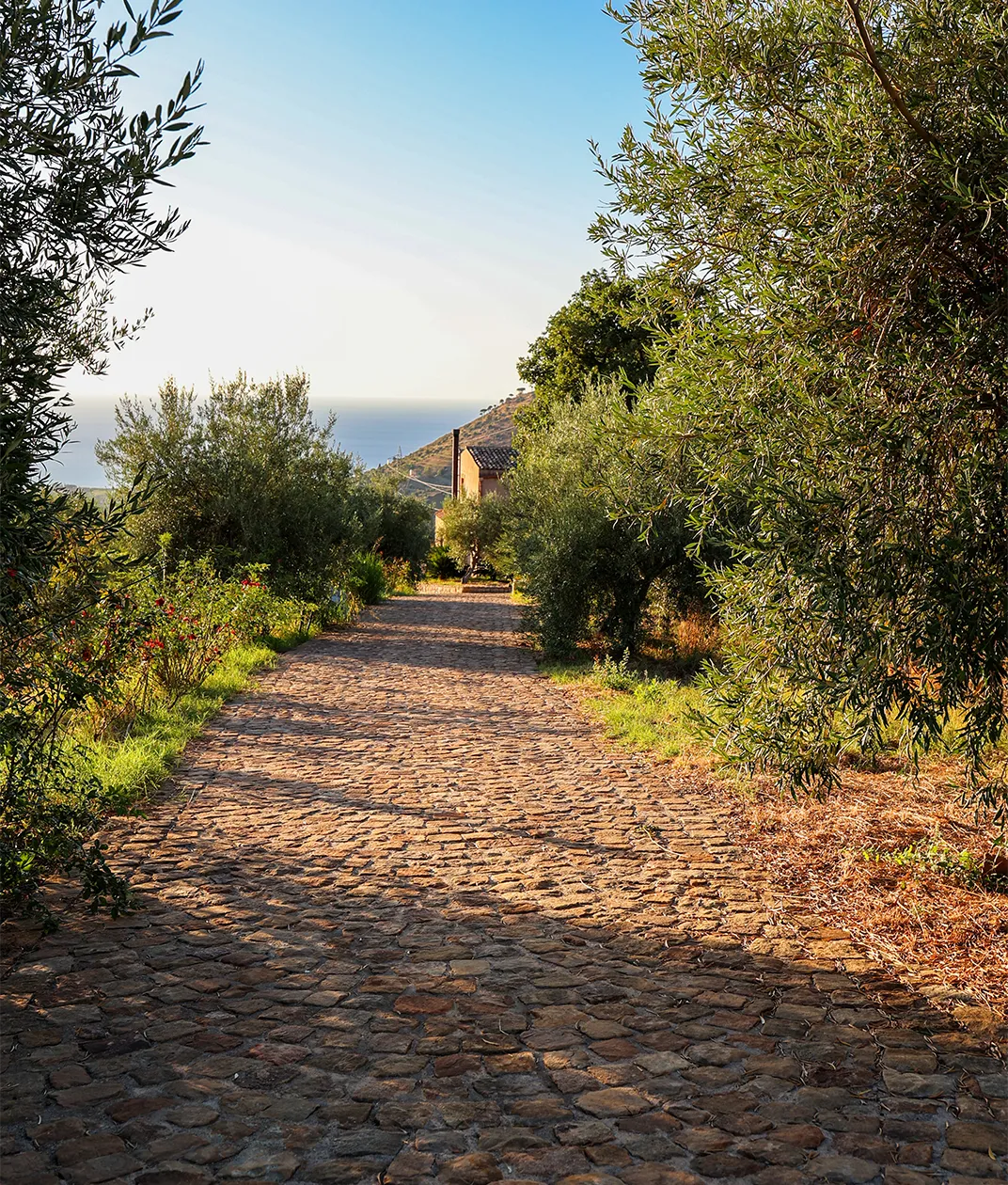 Agriturismo Case Rapputi, Agriturismo vicino Palermo e Cefalù